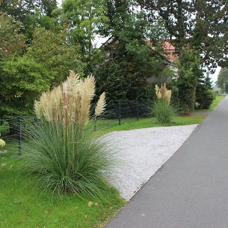 Fewo Nordseeflair Eg - Wiarden Exterior foto